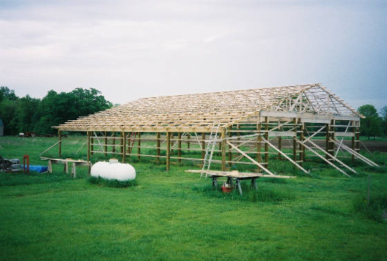 building2.jpg