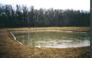 frozenpond.jpg