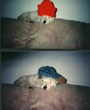 phoebehat.jpg