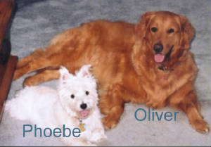 phoebenoliver.jpg