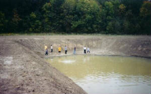 pond.jpg