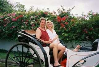 carriage3.jpg